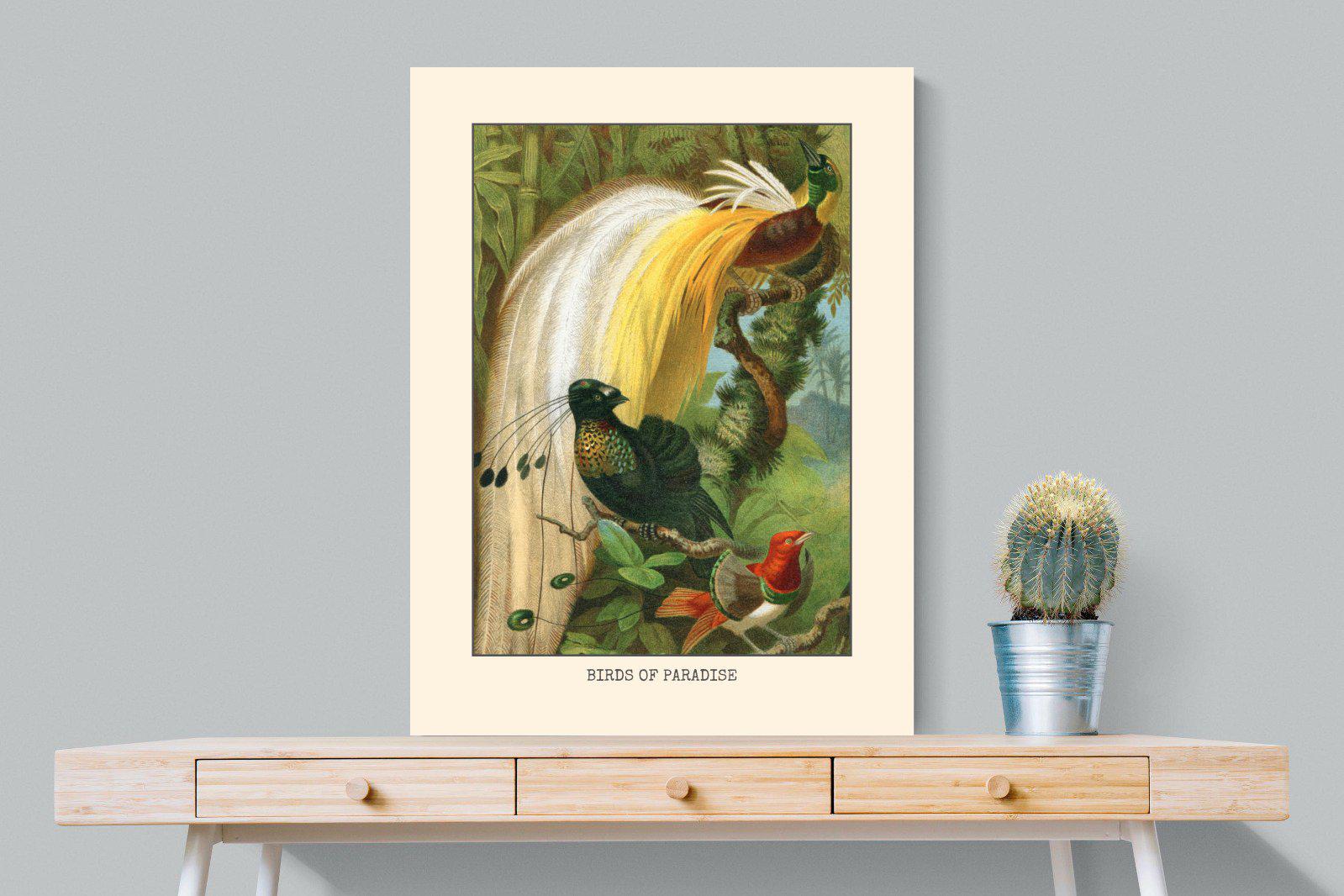 Birds of Paradise Etching-Wall_Art-75 x 100cm-Mounted Canvas-No Frame-Pixalot