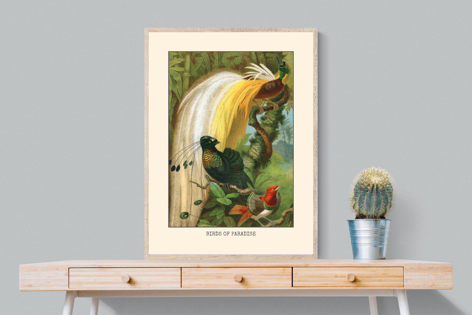 Birds of Paradise Etching-Wall_Art-75 x 100cm-Mounted Canvas-Wood-Pixalot