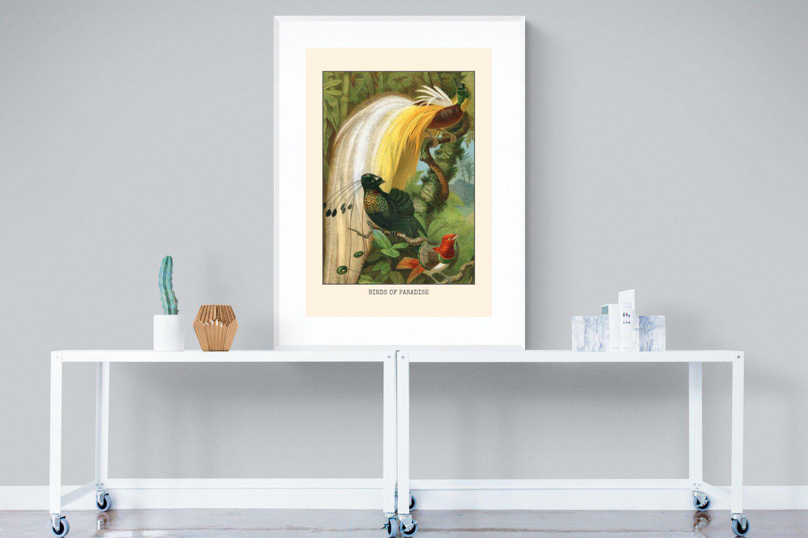 Birds of Paradise Etching-Wall_Art-90 x 120cm-Framed Print-White-Pixalot