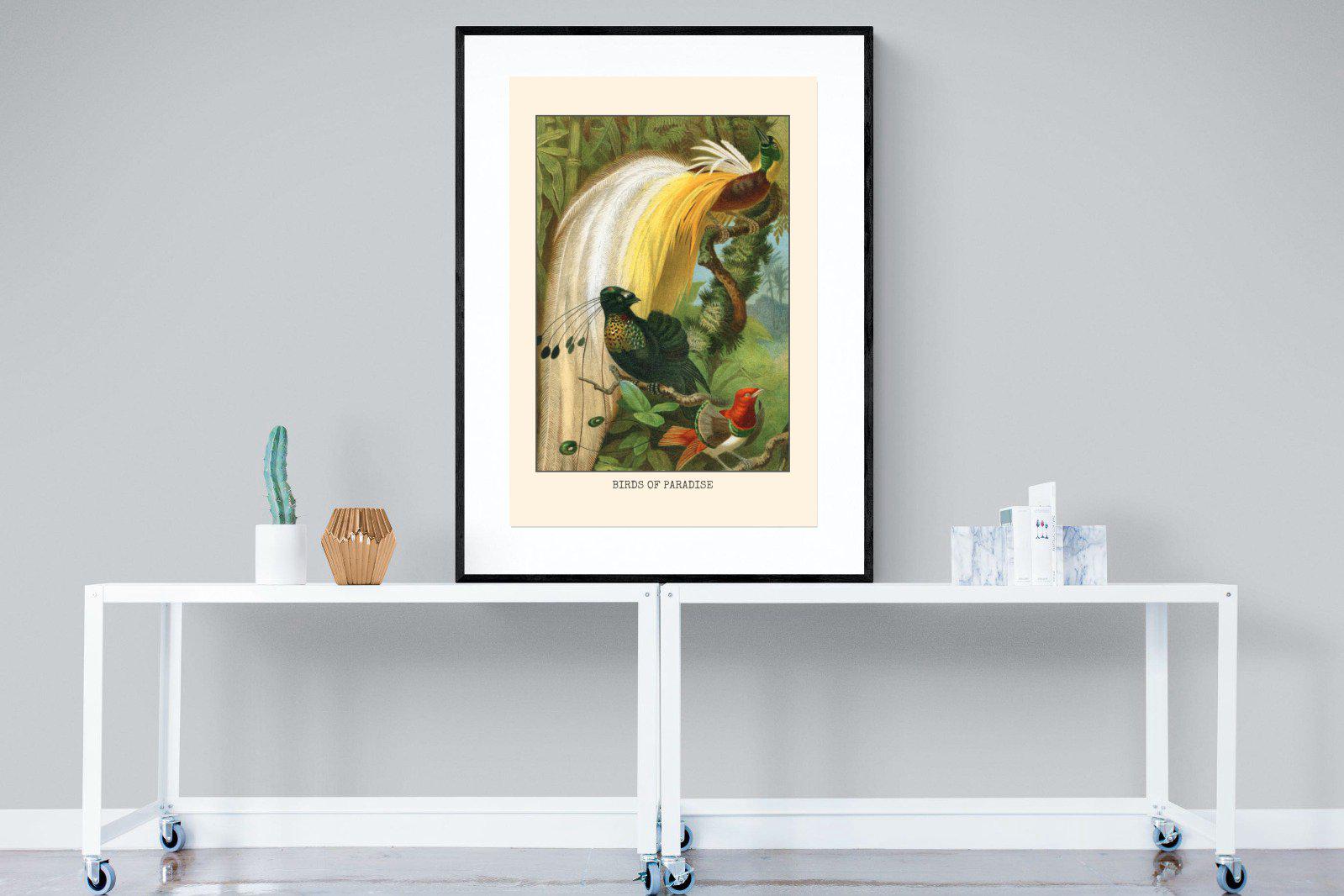 Birds of Paradise Etching-Wall_Art-90 x 120cm-Framed Print-Black-Pixalot
