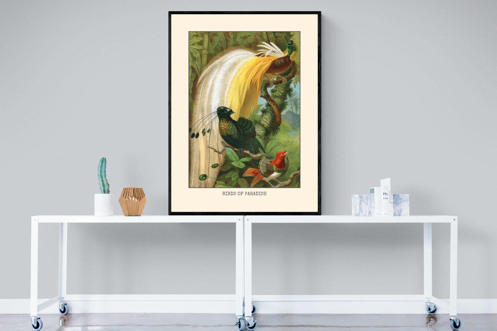 Birds of Paradise Etching-Wall_Art-90 x 120cm-Mounted Canvas-Black-Pixalot