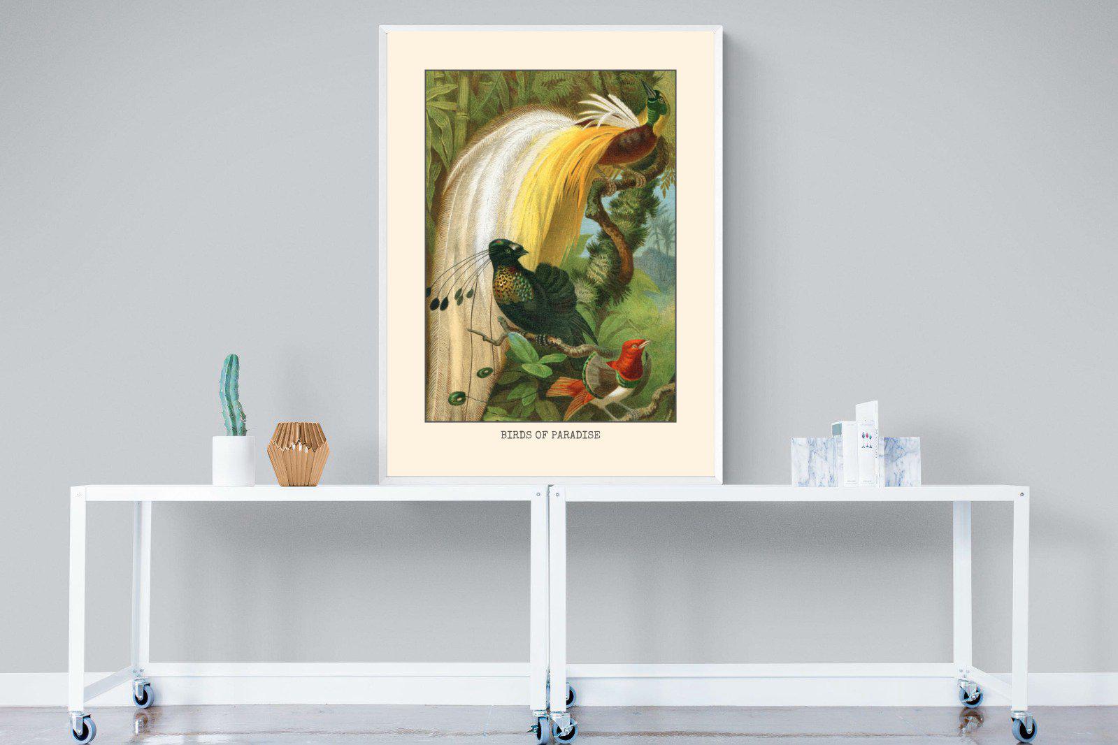 Birds of Paradise Etching-Wall_Art-90 x 120cm-Mounted Canvas-White-Pixalot