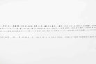 Birds on a Wire-Wall_Art-Pixalot
