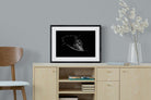 Black Beauty-Wall_Art-60 x 45cm-Framed Print-Black-Pixalot