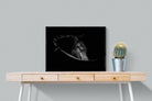 Black Beauty-Wall_Art-80 x 60cm-Mounted Canvas-Black-Pixalot