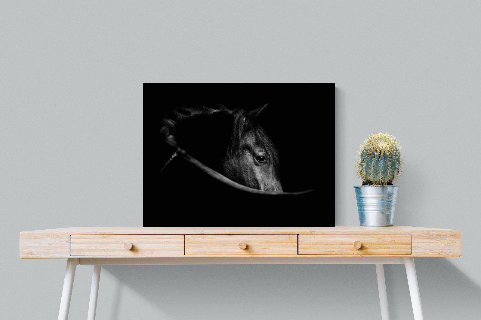 Black Beauty-Wall_Art-80 x 60cm-Mounted Canvas-No Frame-Pixalot