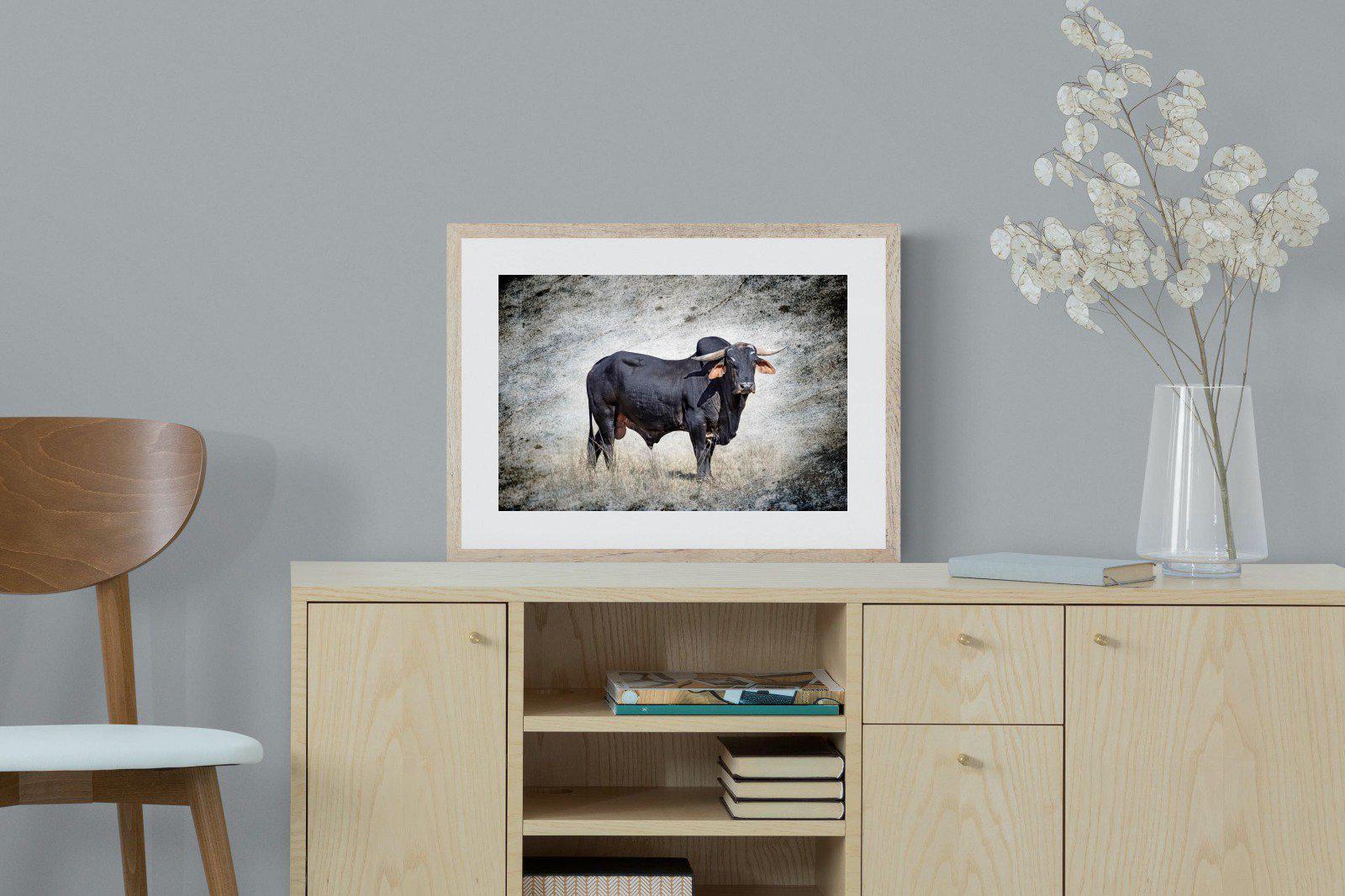 Black Bull-Wall_Art-60 x 45cm-Framed Print-Wood-Pixalot