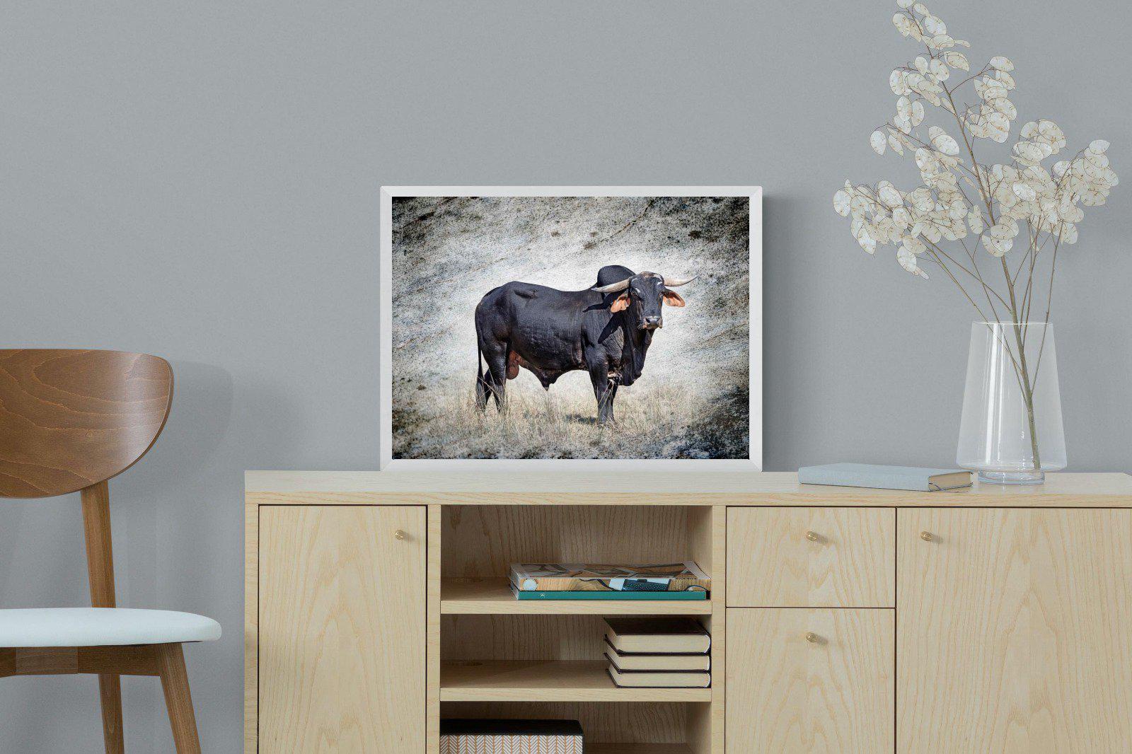 Black Bull-Wall_Art-60 x 45cm-Mounted Canvas-White-Pixalot