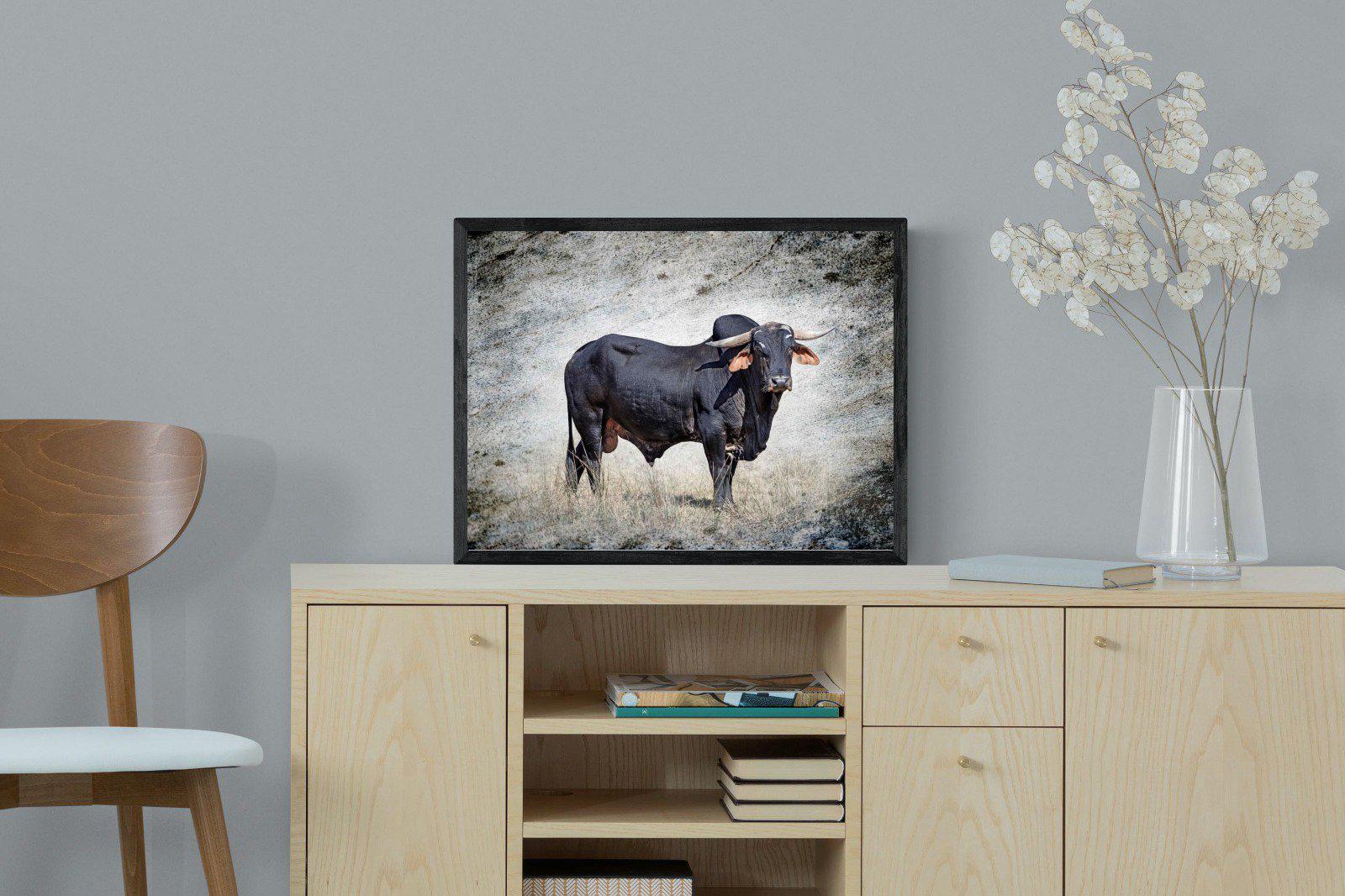 Black Bull-Wall_Art-60 x 45cm-Mounted Canvas-Black-Pixalot