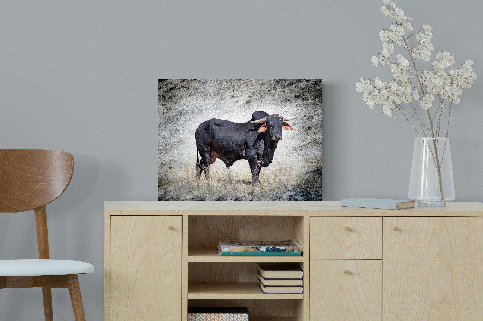 Black Bull-Wall_Art-60 x 45cm-Mounted Canvas-No Frame-Pixalot
