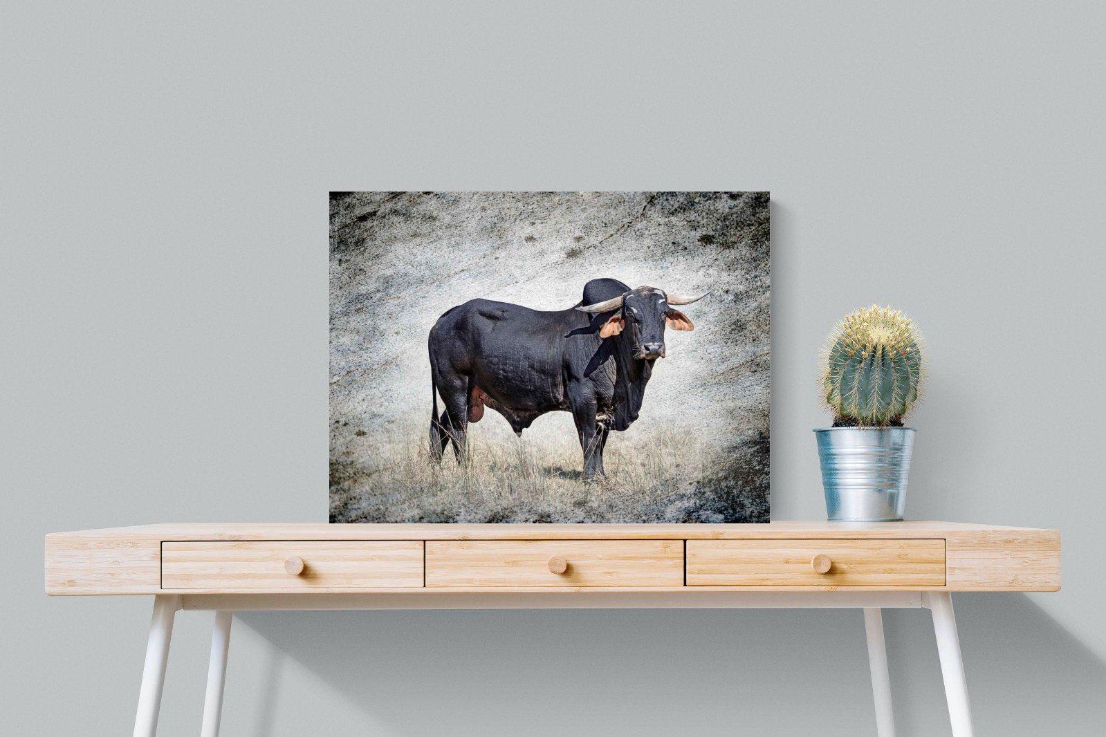 Black Bull-Wall_Art-80 x 60cm-Mounted Canvas-No Frame-Pixalot