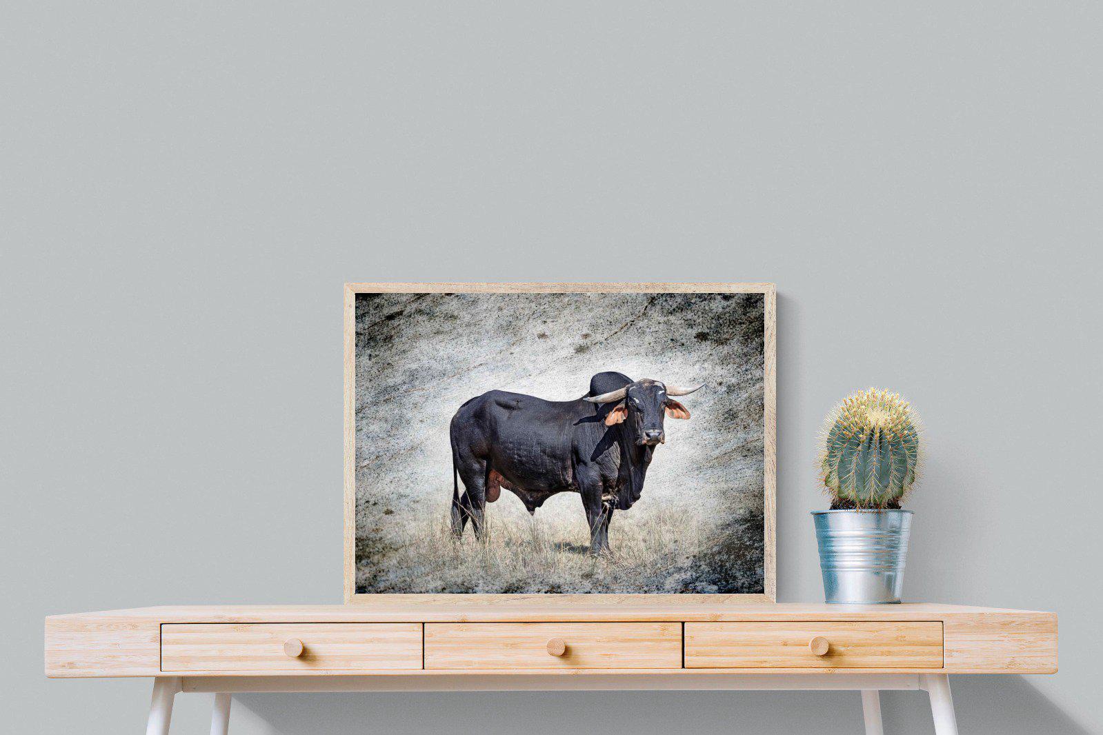 Black Bull-Wall_Art-80 x 60cm-Mounted Canvas-Wood-Pixalot