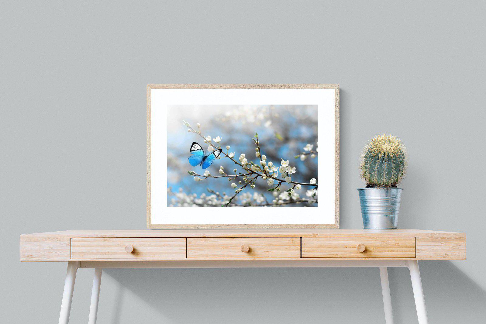 Blue Flutter-Wall_Art-80 x 60cm-Framed Print-Wood-Pixalot