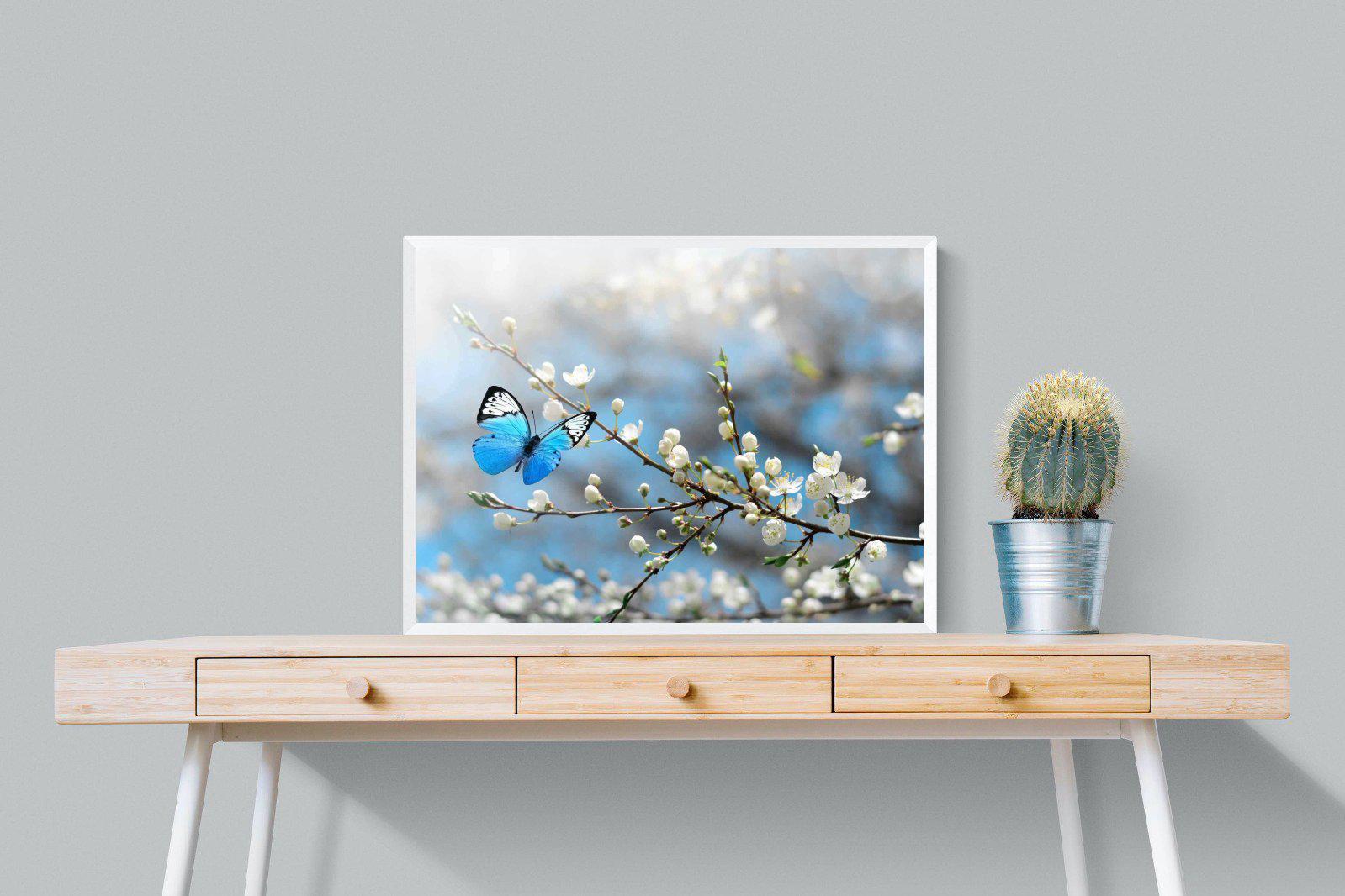 Blue Flutter-Wall_Art-80 x 60cm-Mounted Canvas-White-Pixalot
