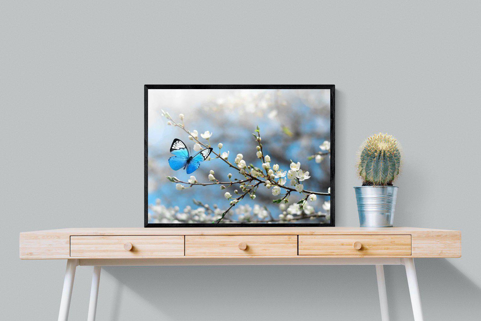 Blue Flutter-Wall_Art-80 x 60cm-Mounted Canvas-Black-Pixalot