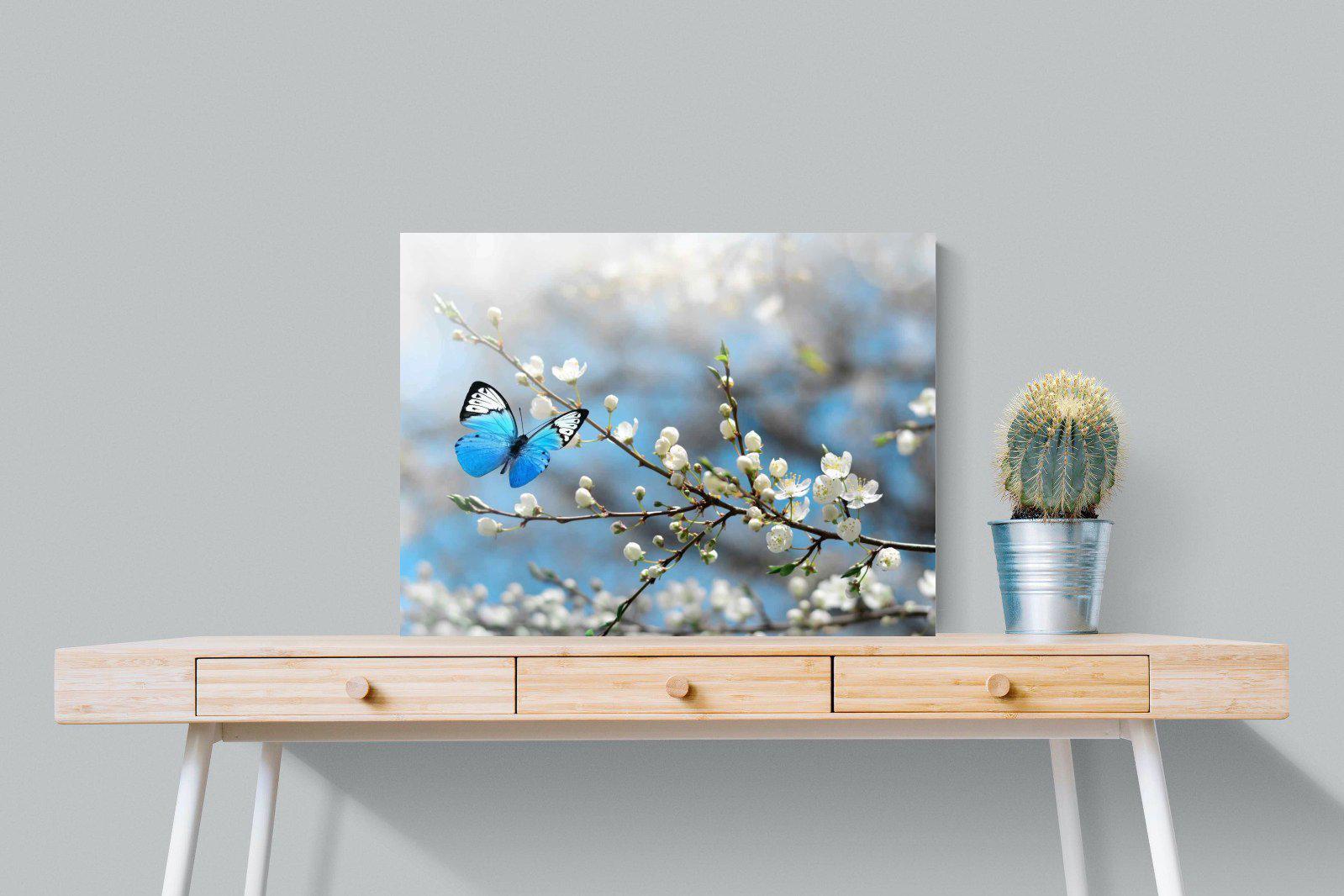 Blue Flutter-Wall_Art-80 x 60cm-Mounted Canvas-No Frame-Pixalot