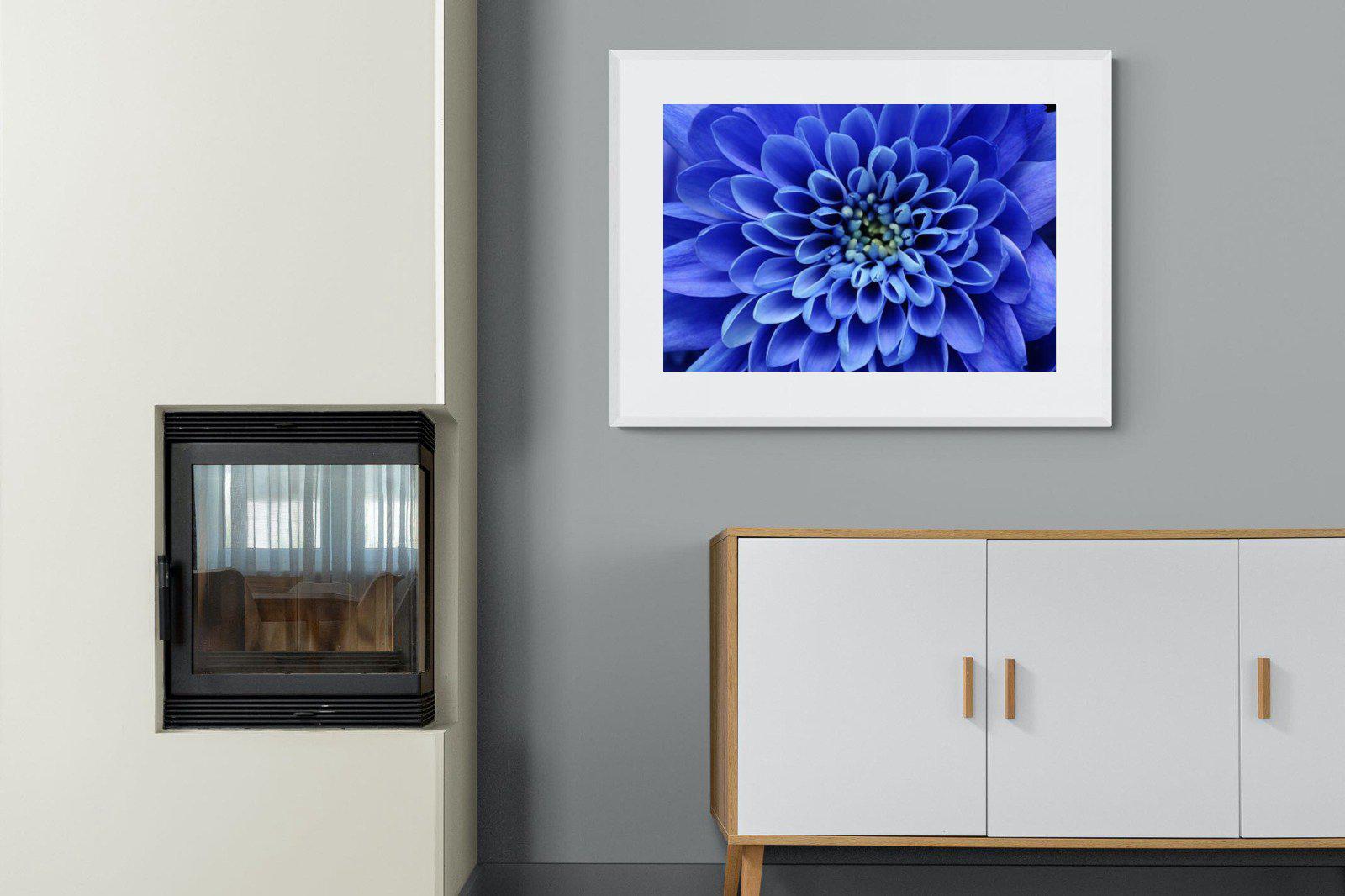 Blue Petals-Wall_Art-100 x 75cm-Framed Print-White-Pixalot