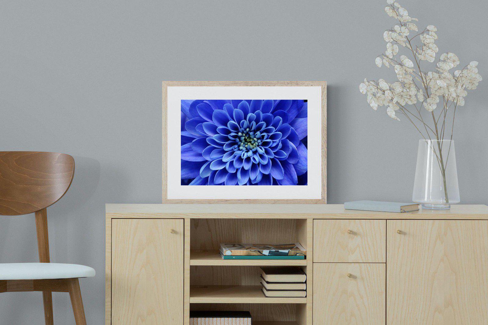 Blue Petals-Wall_Art-60 x 45cm-Framed Print-Wood-Pixalot