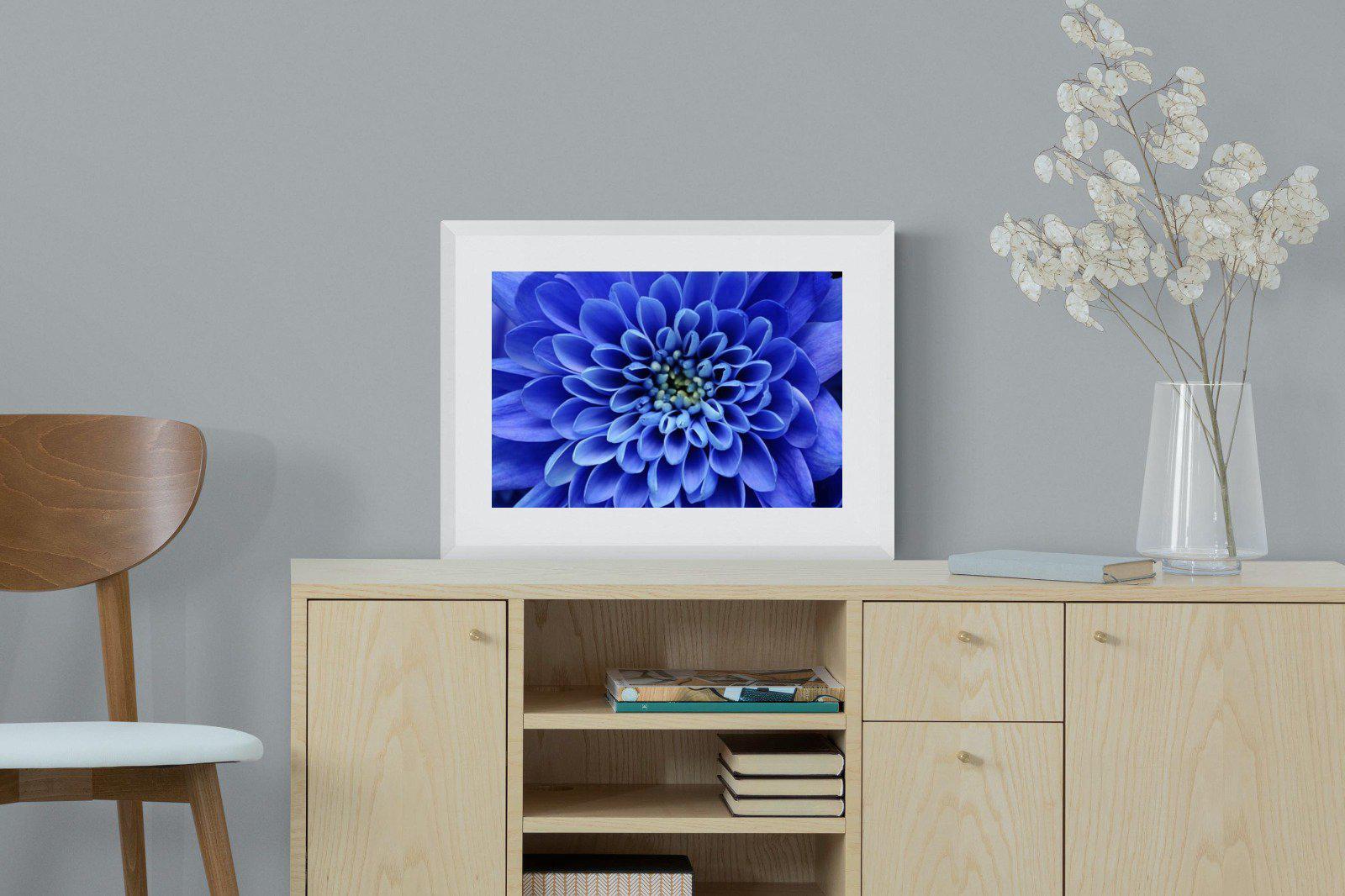 Blue Petals-Wall_Art-60 x 45cm-Framed Print-White-Pixalot