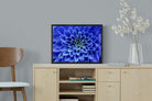 Blue Petals-Wall_Art-60 x 45cm-Mounted Canvas-Black-Pixalot