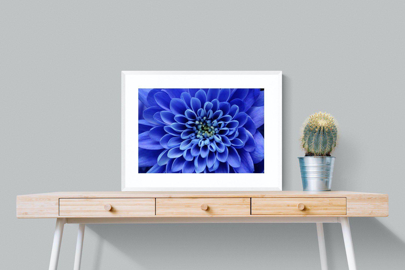 Blue Petals-Wall_Art-80 x 60cm-Framed Print-White-Pixalot