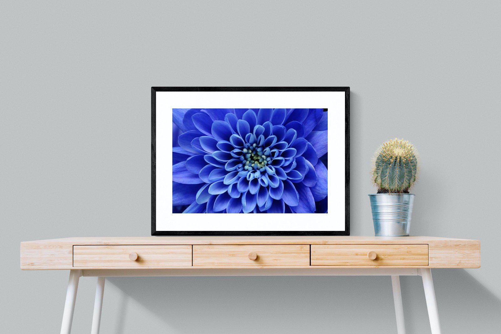 Blue Petals-Wall_Art-80 x 60cm-Framed Print-Black-Pixalot