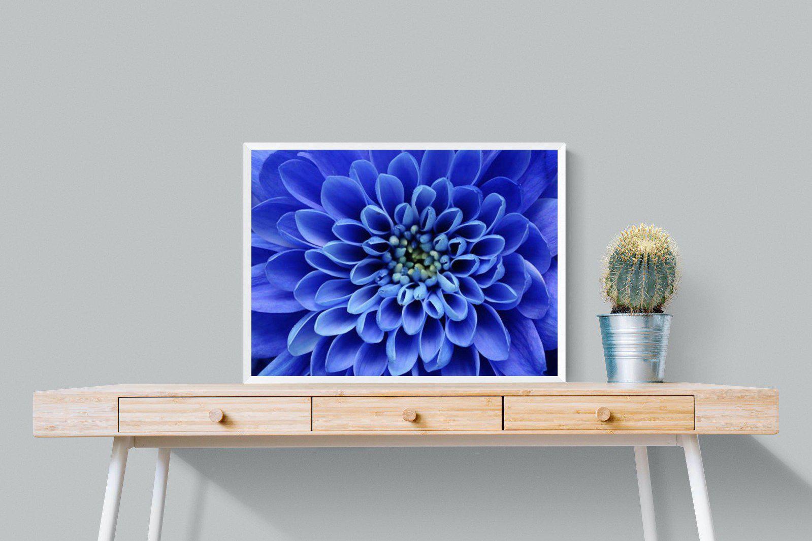 Blue Petals-Wall_Art-80 x 60cm-Mounted Canvas-White-Pixalot