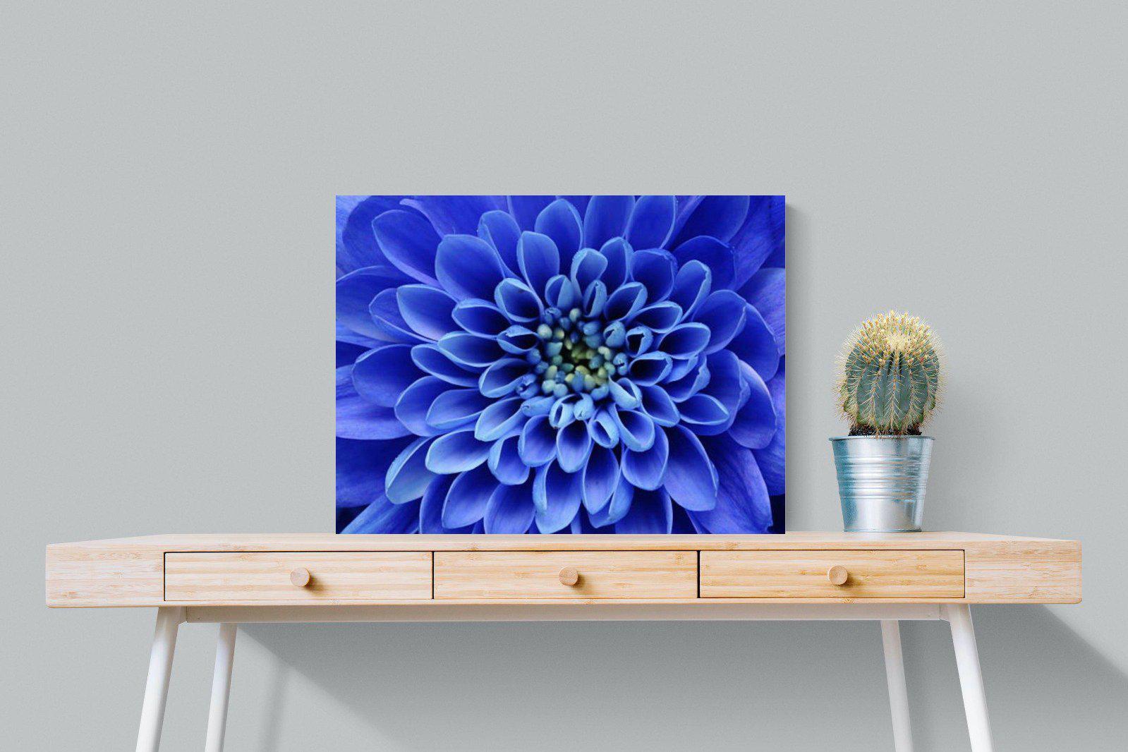 Blue Petals-Wall_Art-80 x 60cm-Mounted Canvas-No Frame-Pixalot