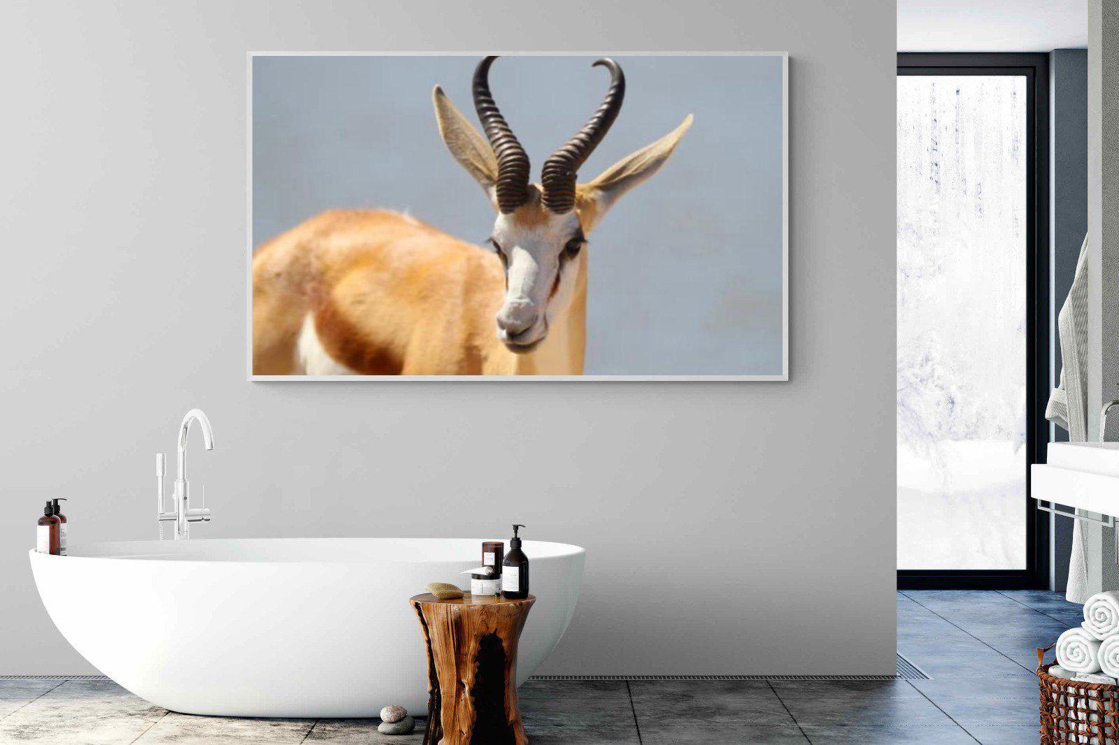 Bok-Wall_Art-180 x 110cm-Mounted Canvas-White-Pixalot