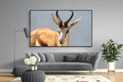 Bok-Wall_Art-220 x 130cm-Mounted Canvas-Black-Pixalot