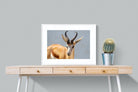 Bok-Wall_Art-80 x 60cm-Framed Print-White-Pixalot