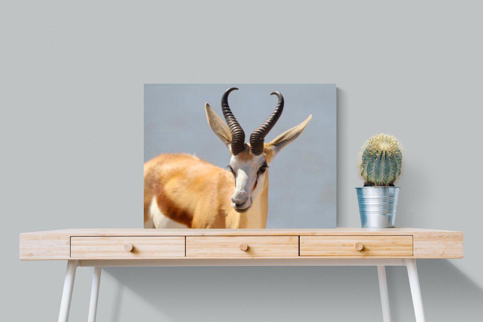 Bok-Wall_Art-80 x 60cm-Mounted Canvas-No Frame-Pixalot
