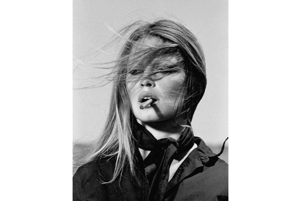 Brigitte Bardot-Wall_Art-Pixalot