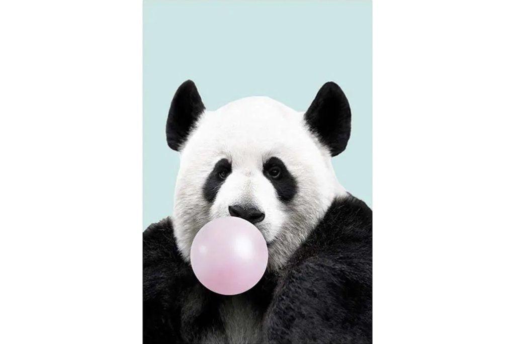 Bubblegum Panda Wall Art | Canvas & Framed Prints – Pixalot