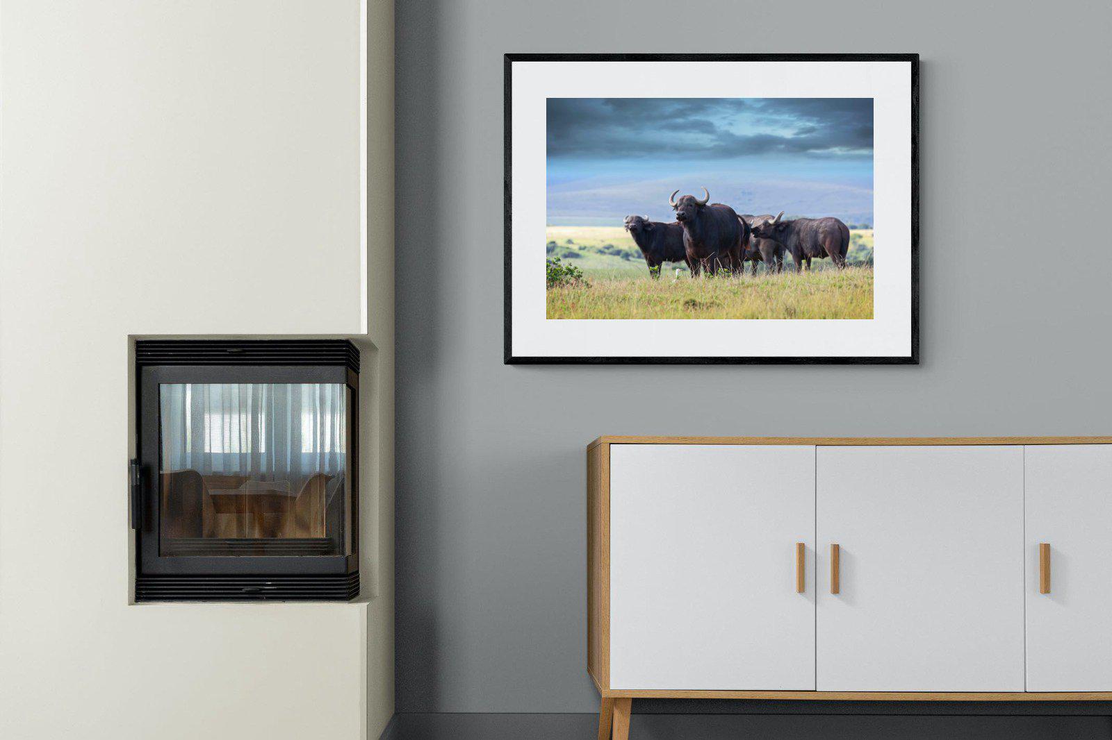 Buffalo-Wall_Art-100 x 75cm-Framed Print-Black-Pixalot