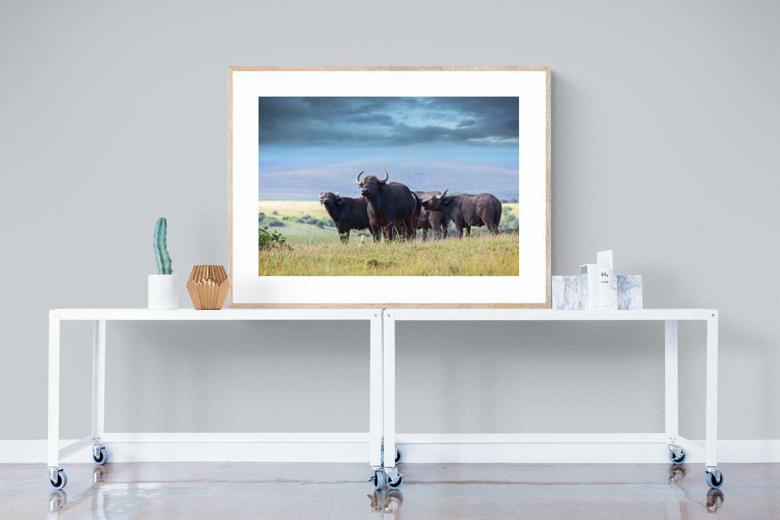 Buffalo-Wall_Art-120 x 90cm-Framed Print-Wood-Pixalot