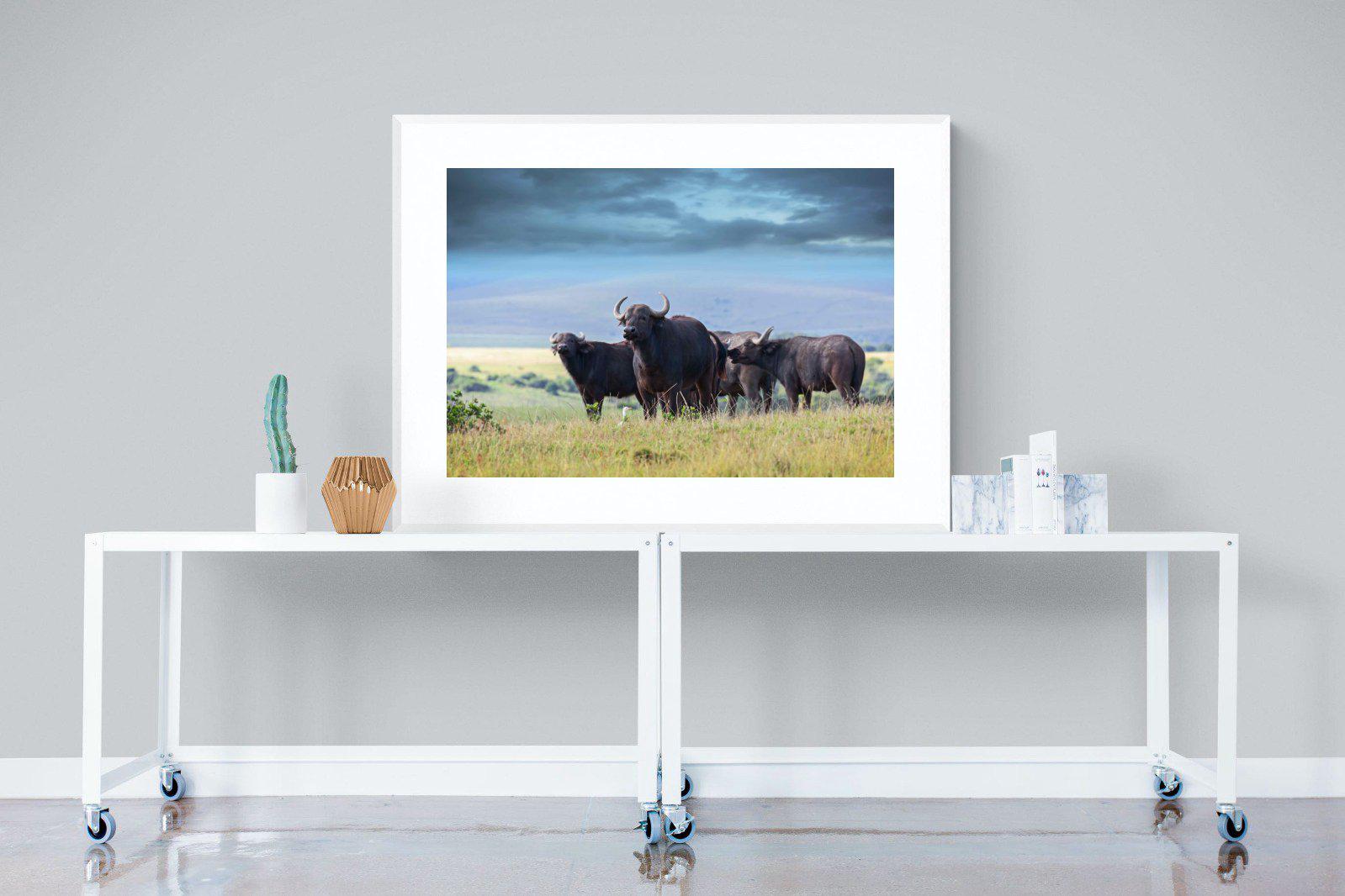 Buffalo-Wall_Art-120 x 90cm-Framed Print-White-Pixalot