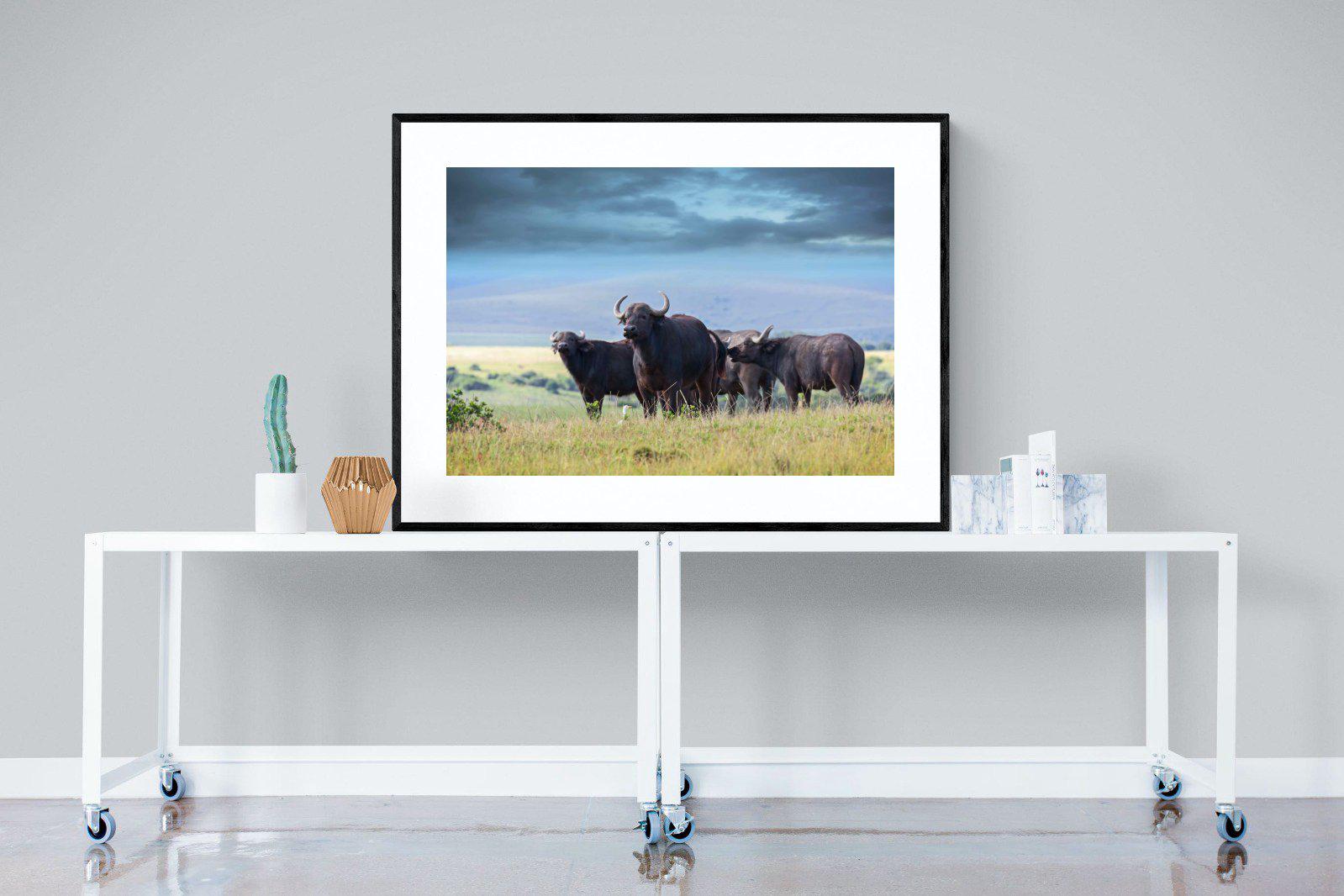 Buffalo-Wall_Art-120 x 90cm-Framed Print-Black-Pixalot