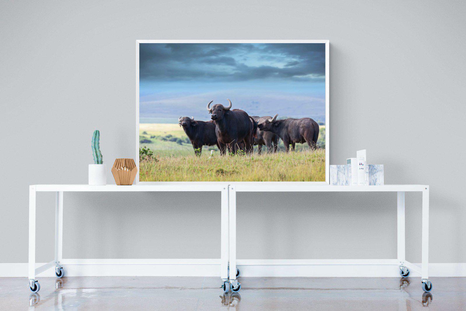 Buffalo-Wall_Art-120 x 90cm-Mounted Canvas-White-Pixalot