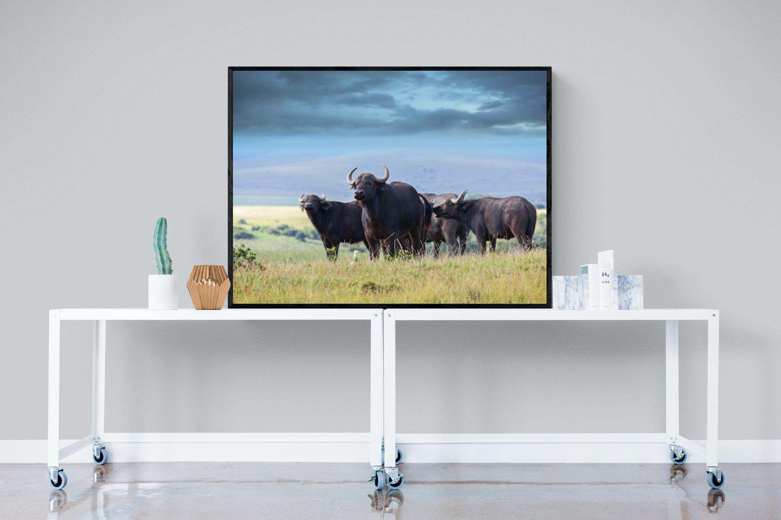 Buffalo-Wall_Art-120 x 90cm-Mounted Canvas-Black-Pixalot