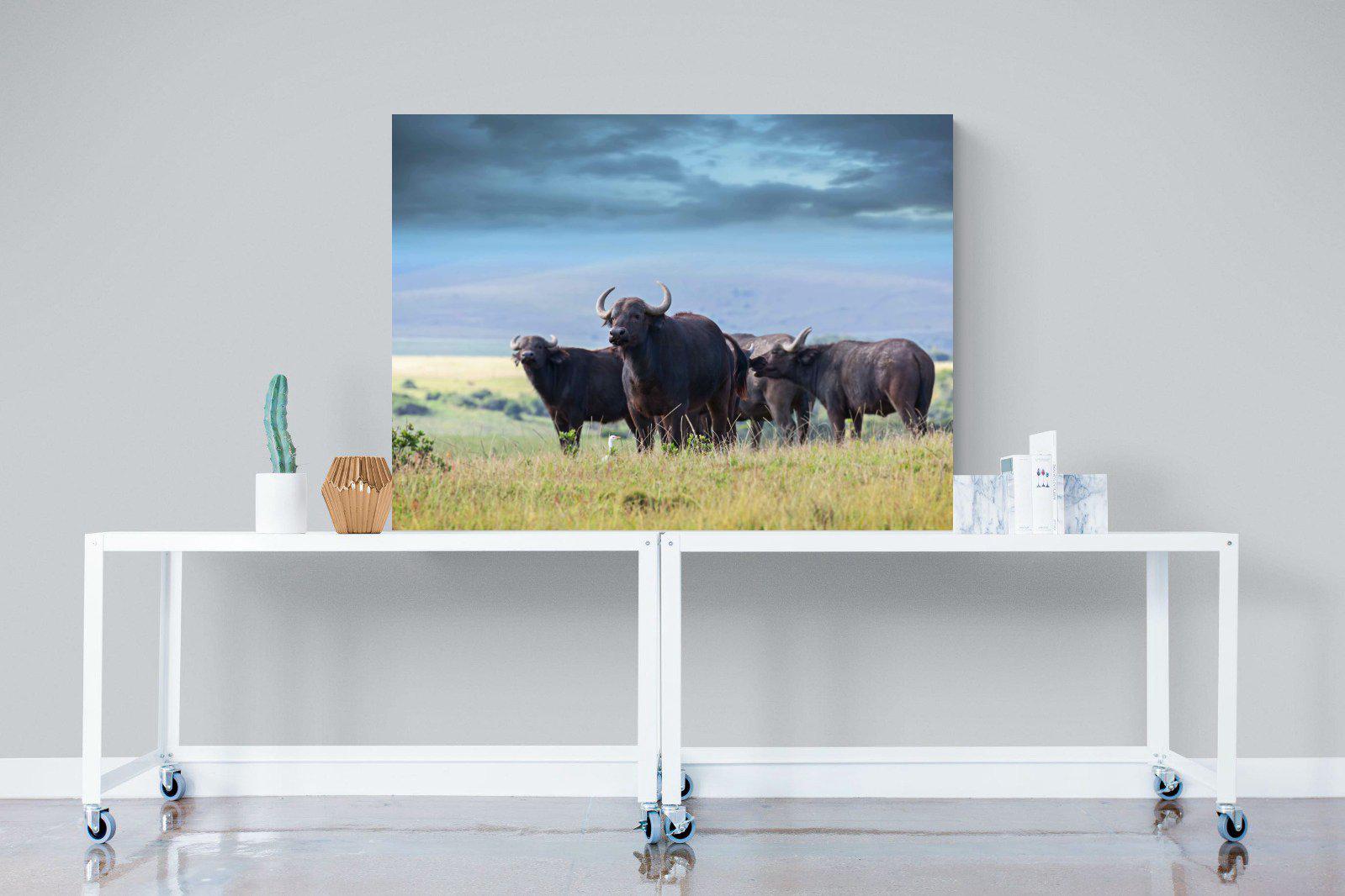 Buffalo-Wall_Art-120 x 90cm-Mounted Canvas-No Frame-Pixalot