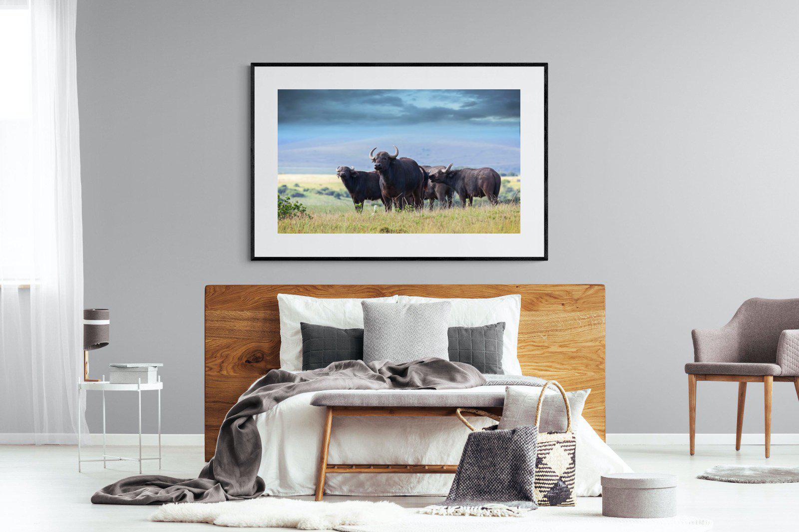 Buffalo-Wall_Art-150 x 100cm-Framed Print-Black-Pixalot