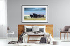 Buffalo-Wall_Art-150 x 100cm-Framed Print-Black-Pixalot