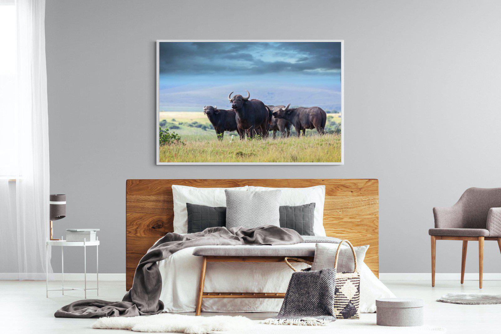 Buffalo-Wall_Art-150 x 100cm-Mounted Canvas-White-Pixalot