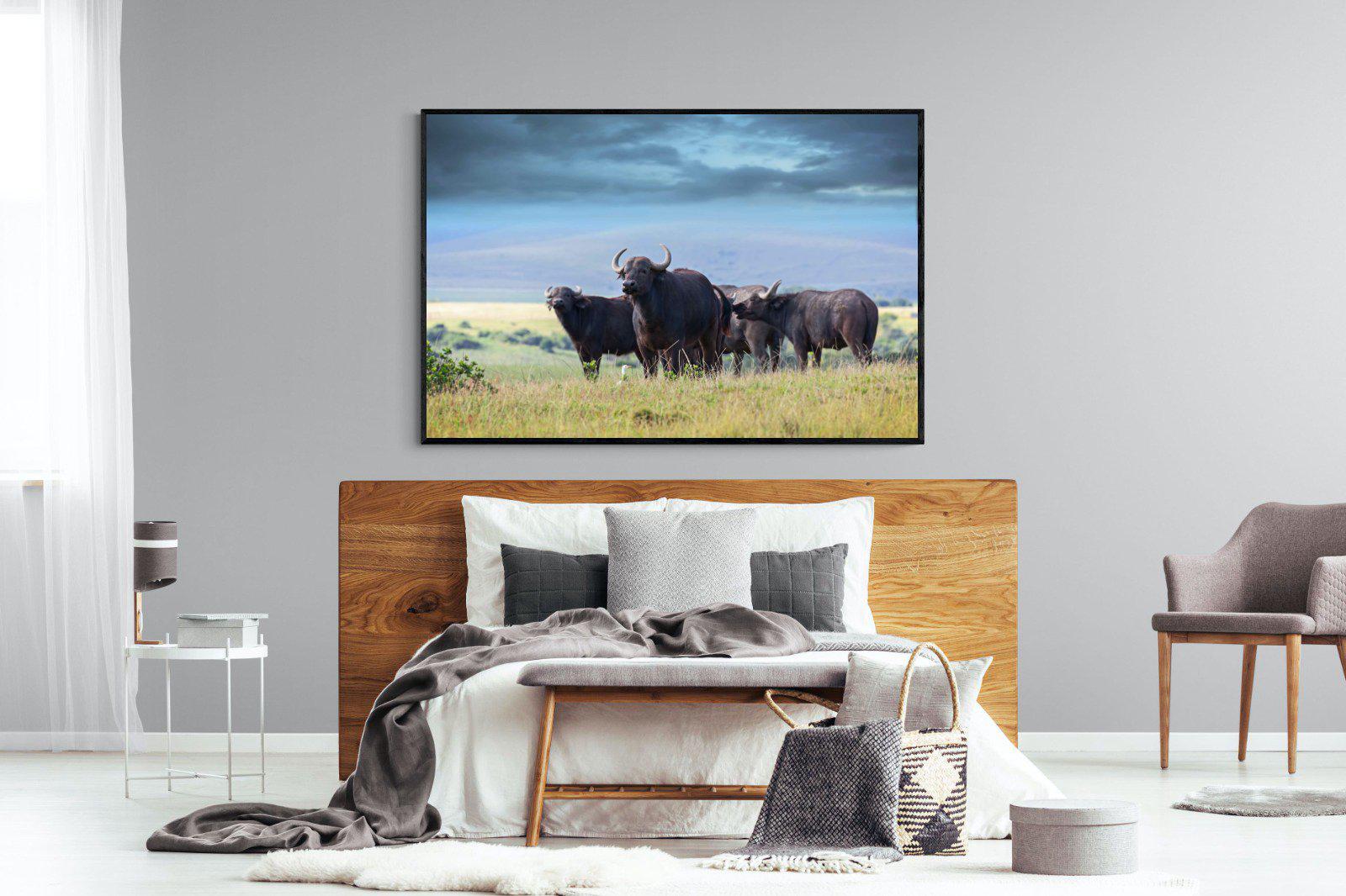 Buffalo-Wall_Art-150 x 100cm-Mounted Canvas-Black-Pixalot