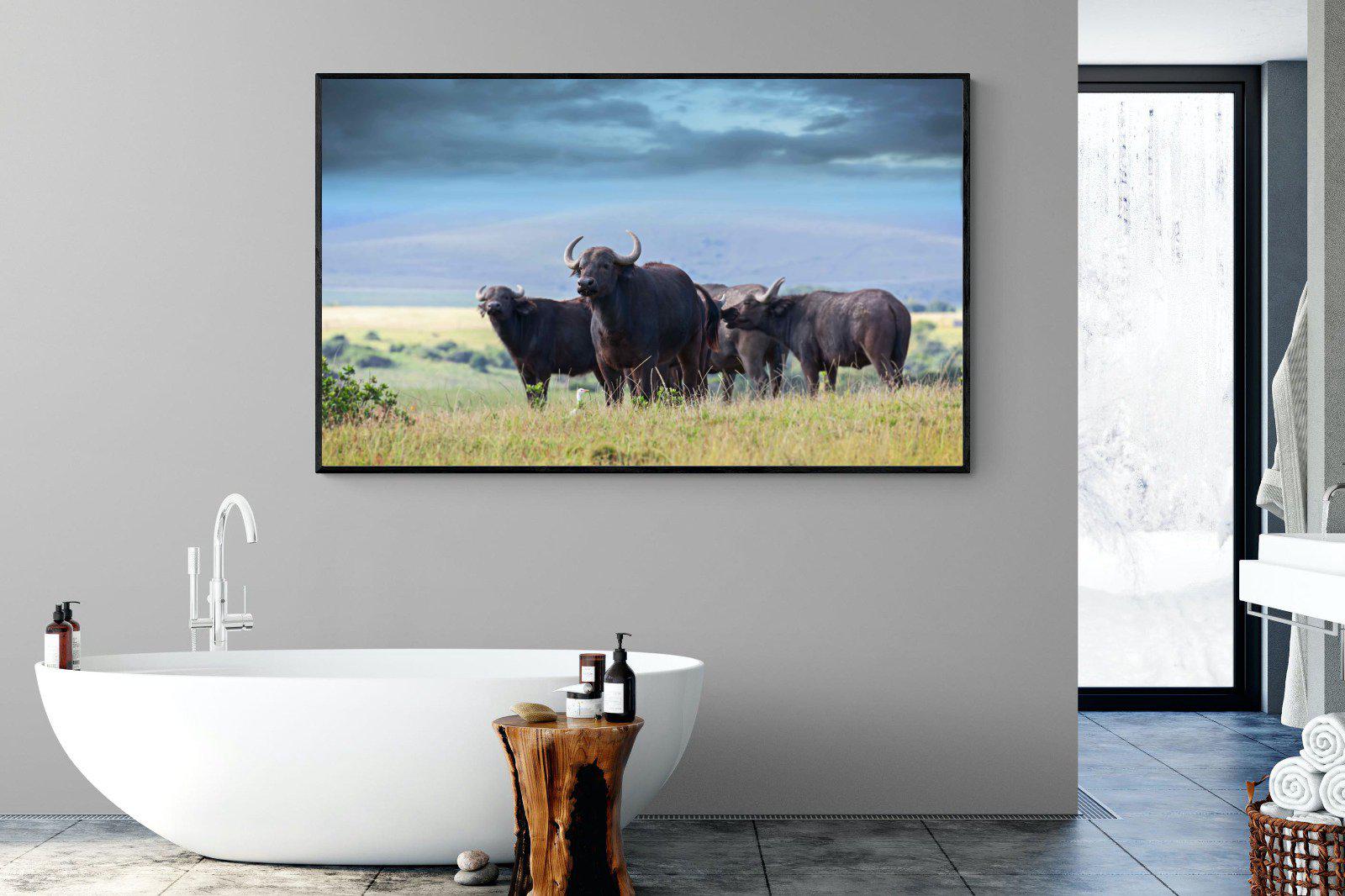 Buffalo-Wall_Art-180 x 110cm-Mounted Canvas-Black-Pixalot