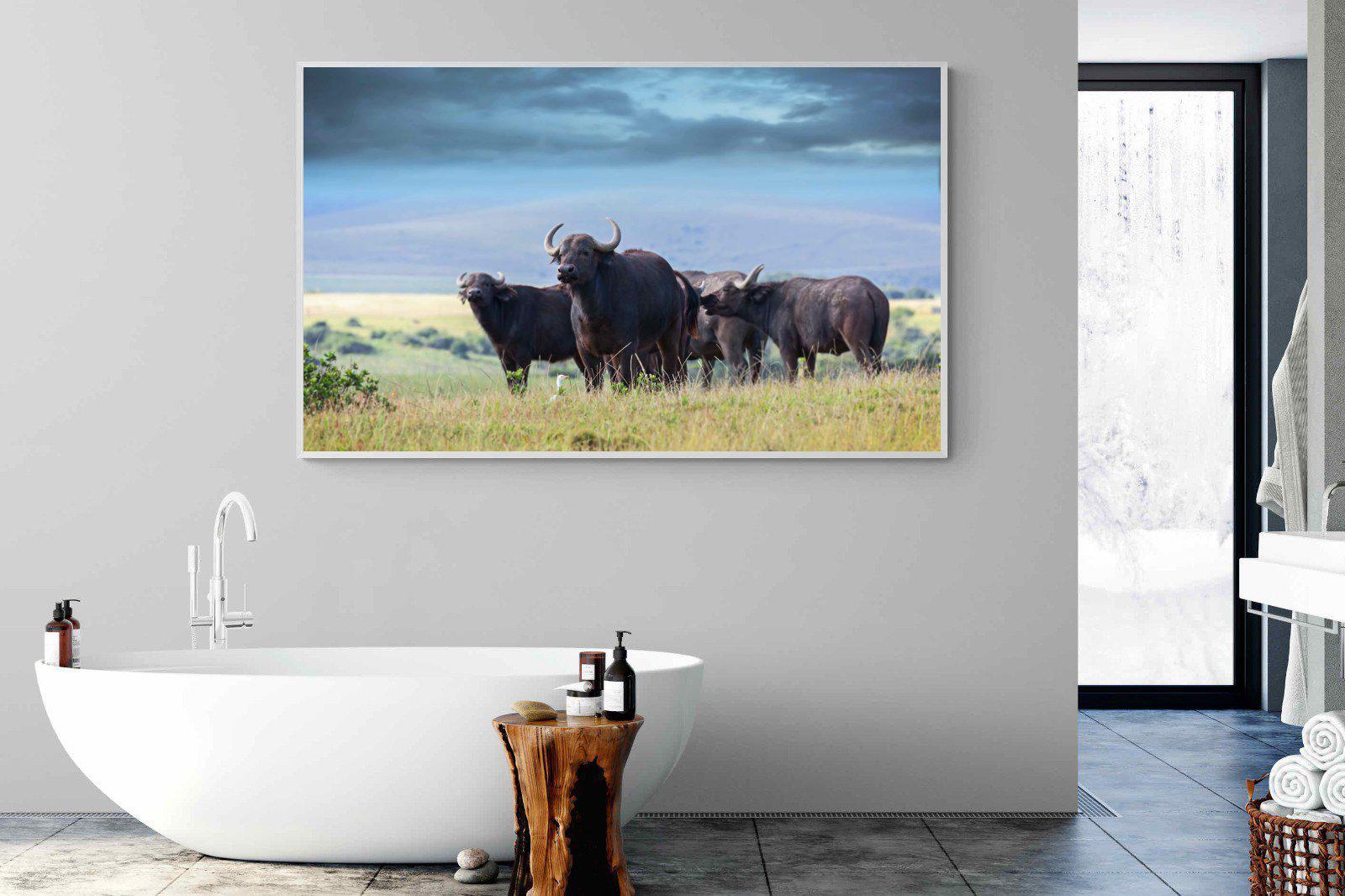 Buffalo-Wall_Art-180 x 110cm-Mounted Canvas-White-Pixalot