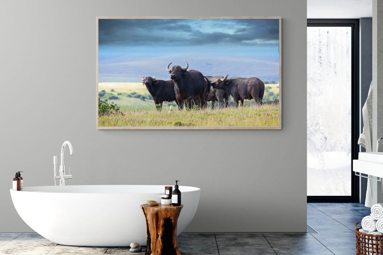 Buffalo-Wall_Art-180 x 110cm-Mounted Canvas-Wood-Pixalot