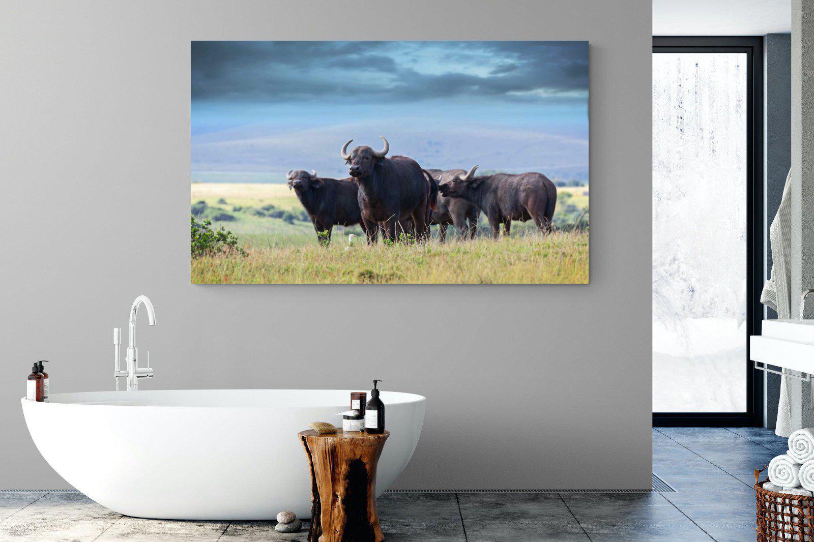 Buffalo-Wall_Art-180 x 110cm-Mounted Canvas-No Frame-Pixalot