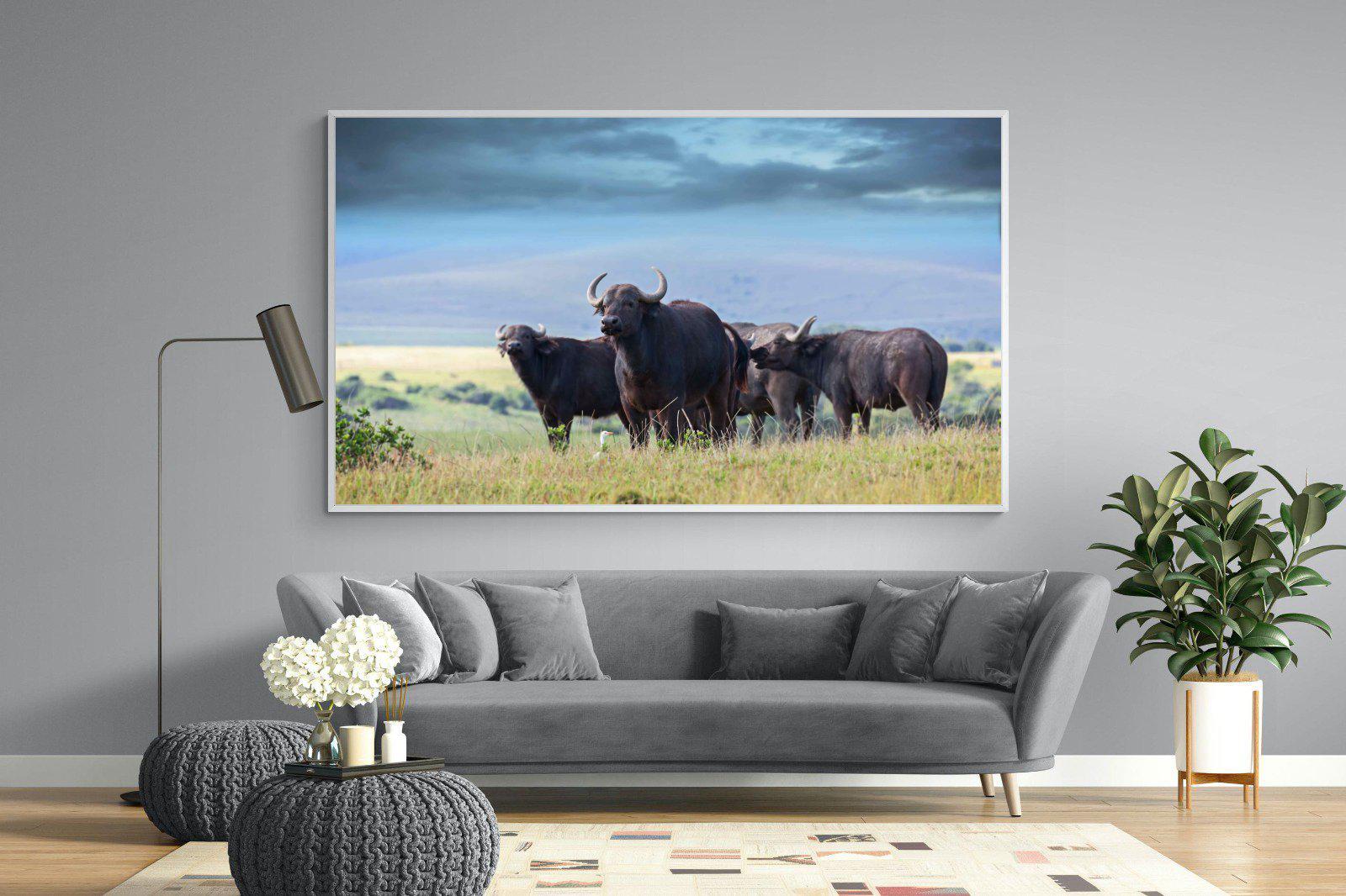 Buffalo-Wall_Art-220 x 130cm-Mounted Canvas-White-Pixalot